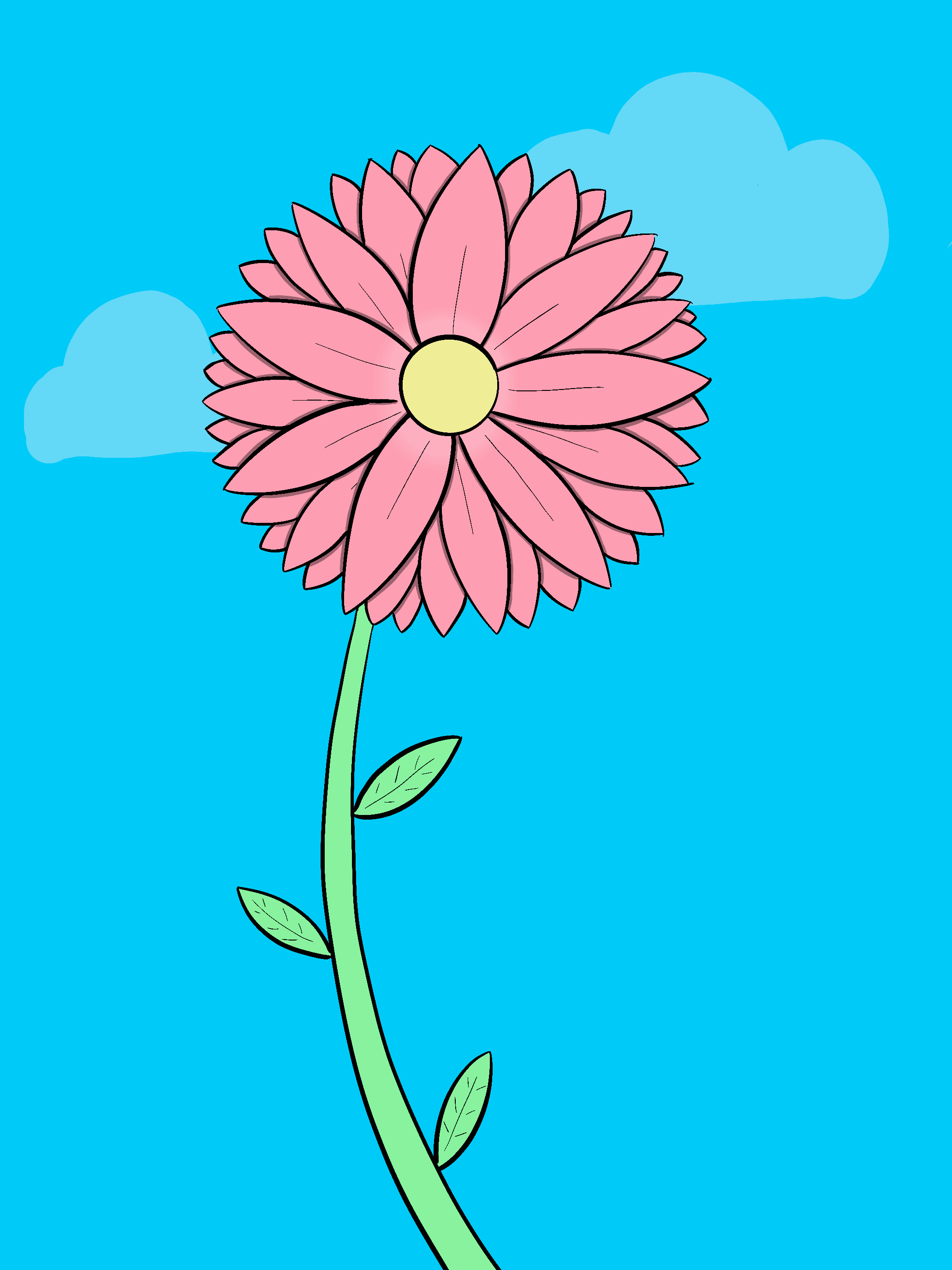 Very similar to the sunflower drawing but with pink petals